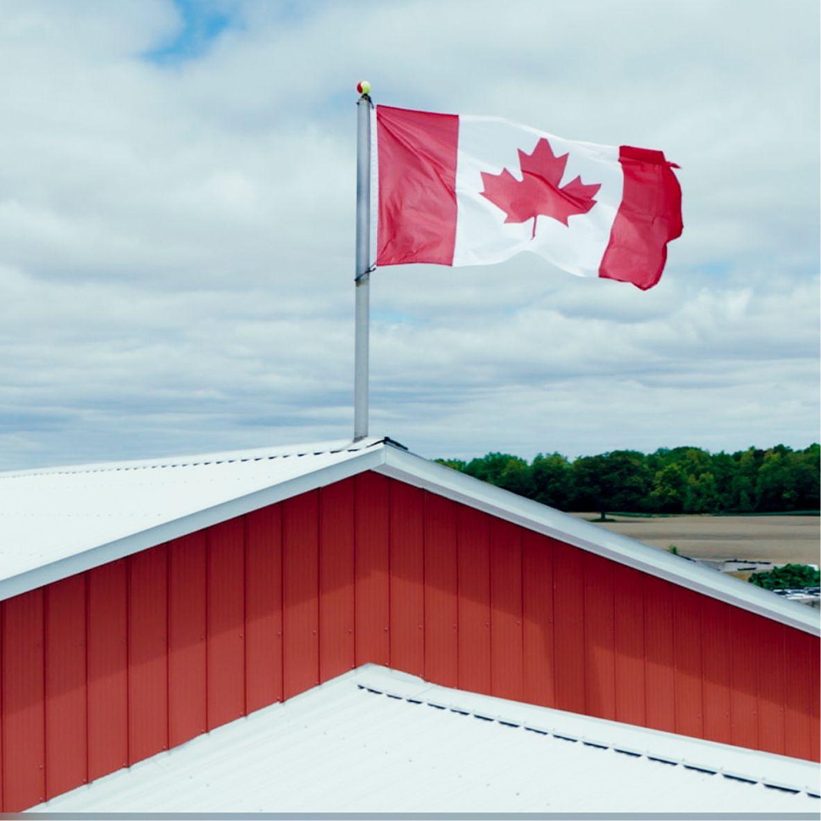 What’s our mission?